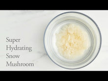 Load and play video in Gallery viewer, Snow Mushroom & Reishi Masque